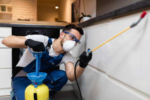 Flea Control Services in Medina, WA