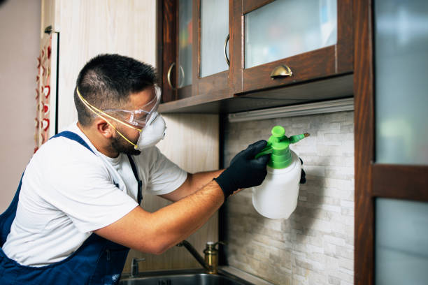 Best Emergency Pest Control  in Medina, WA