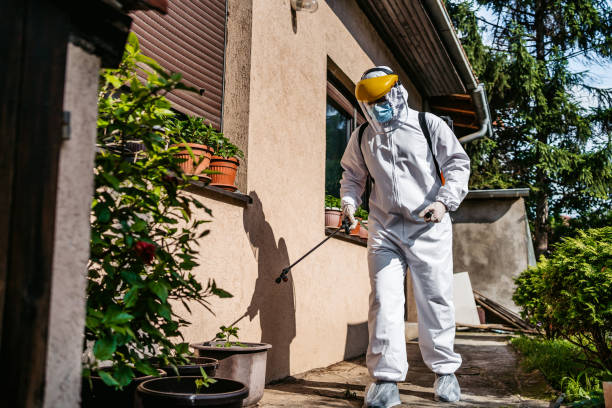 Spider Control Near Me in Medina, WA