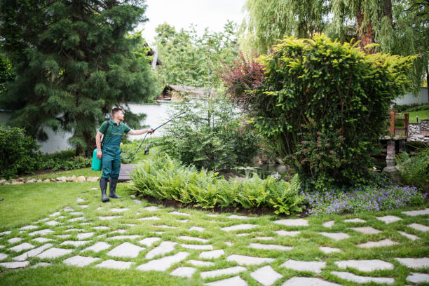 Best Pest Inspection Near Me  in Medina, WA