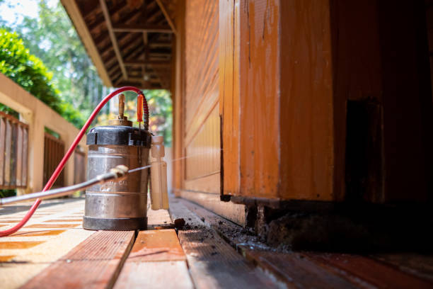 Best Best Pest Control Companies  in Medina, WA