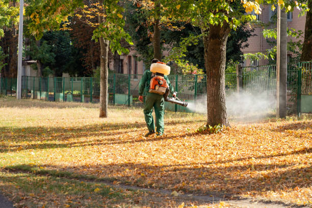 Best Best Pest Control Companies  in Medina, WA